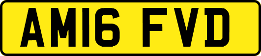 AM16FVD