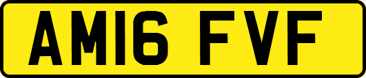 AM16FVF
