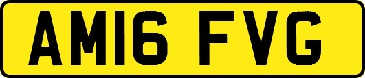 AM16FVG