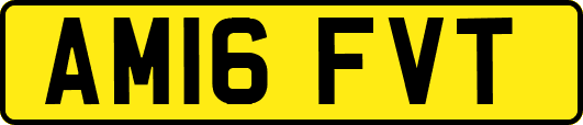 AM16FVT