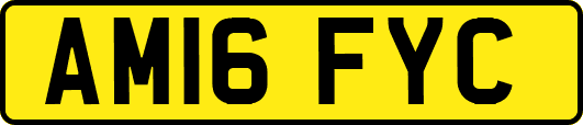 AM16FYC