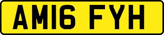 AM16FYH