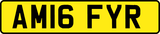 AM16FYR