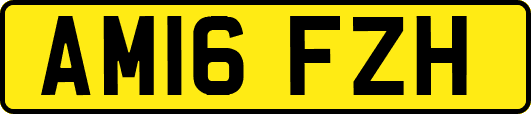 AM16FZH