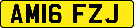 AM16FZJ