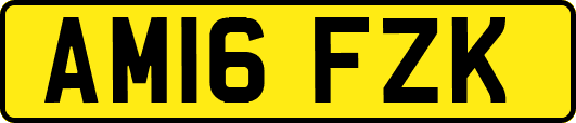 AM16FZK