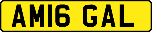 AM16GAL