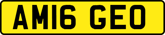 AM16GEO