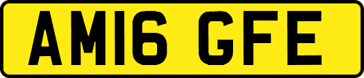 AM16GFE