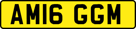 AM16GGM