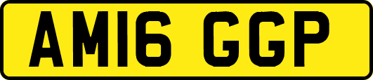 AM16GGP
