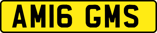 AM16GMS