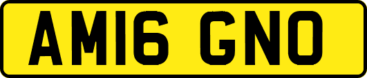 AM16GNO