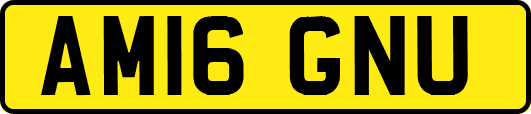AM16GNU