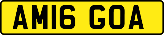 AM16GOA
