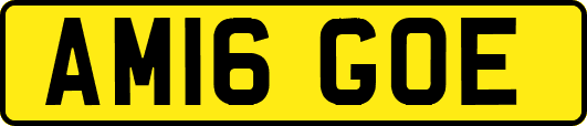 AM16GOE