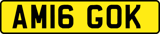 AM16GOK