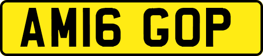 AM16GOP