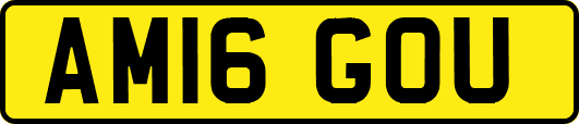 AM16GOU