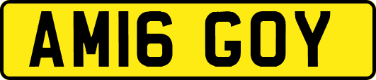 AM16GOY