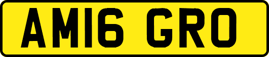AM16GRO