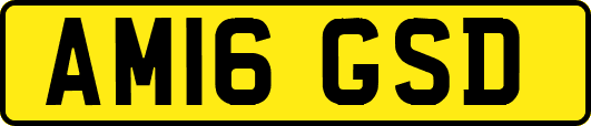 AM16GSD