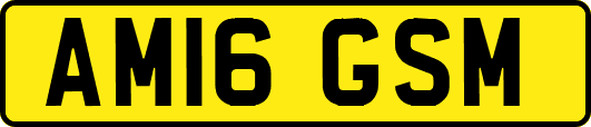 AM16GSM