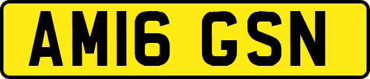 AM16GSN