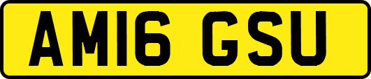 AM16GSU
