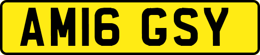 AM16GSY
