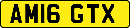 AM16GTX
