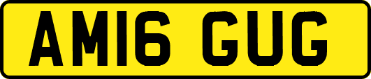 AM16GUG