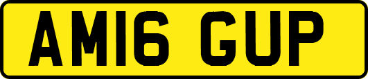 AM16GUP