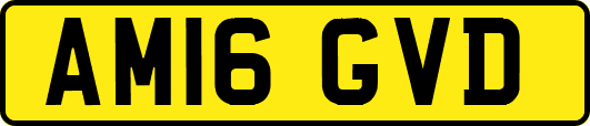 AM16GVD