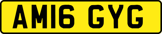AM16GYG