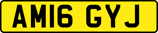 AM16GYJ