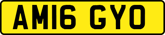 AM16GYO