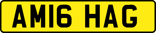 AM16HAG