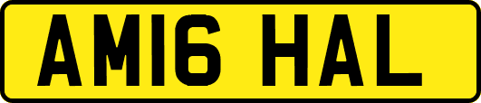 AM16HAL