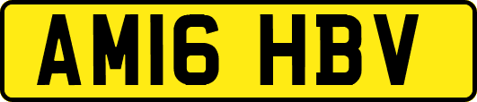 AM16HBV
