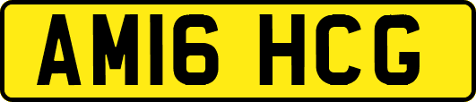 AM16HCG