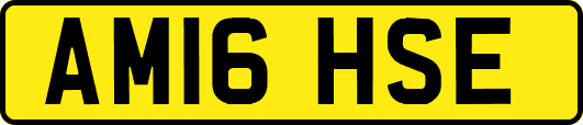 AM16HSE