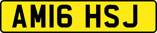 AM16HSJ