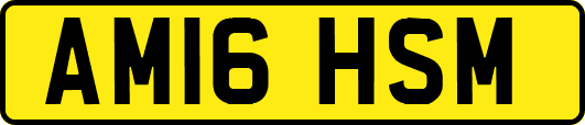 AM16HSM