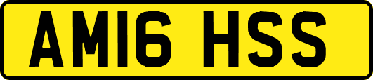 AM16HSS