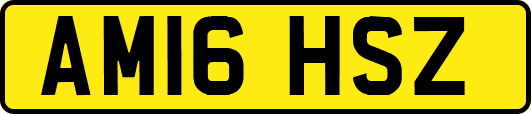 AM16HSZ