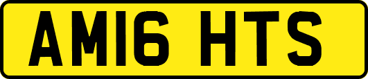 AM16HTS