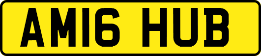 AM16HUB