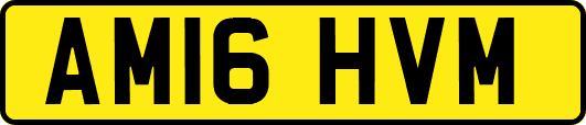 AM16HVM