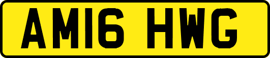 AM16HWG